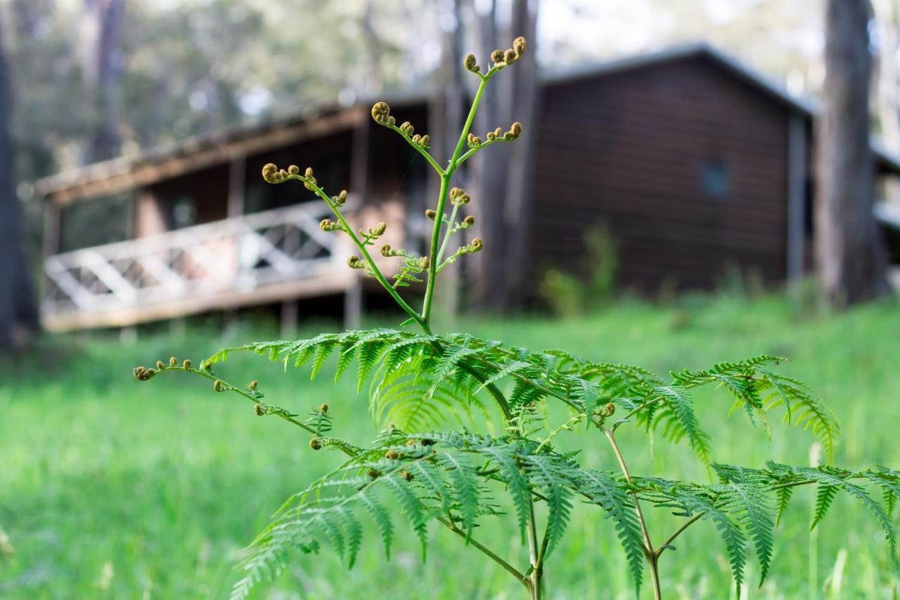 Che Sara Sara Chalets Walpole Esterno foto